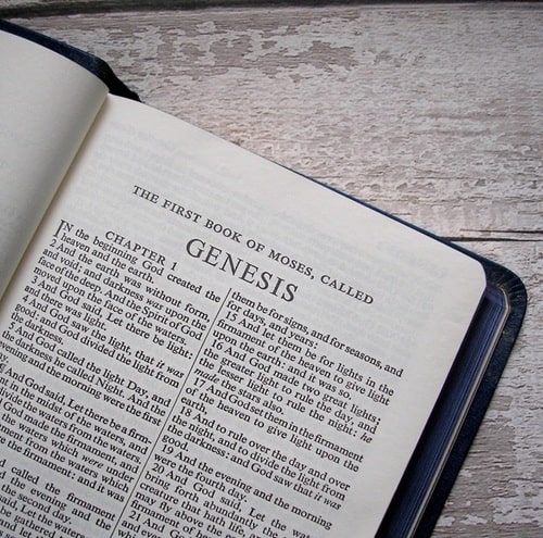 Genesis